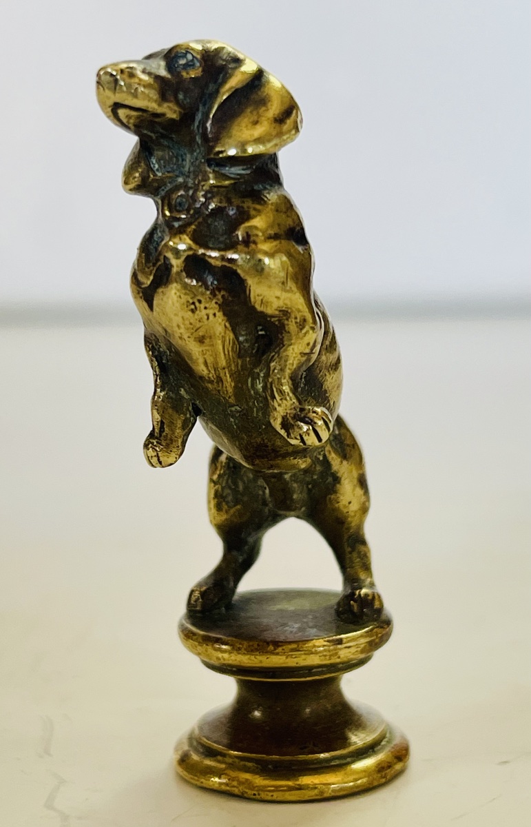 Basset Seal -photo-1